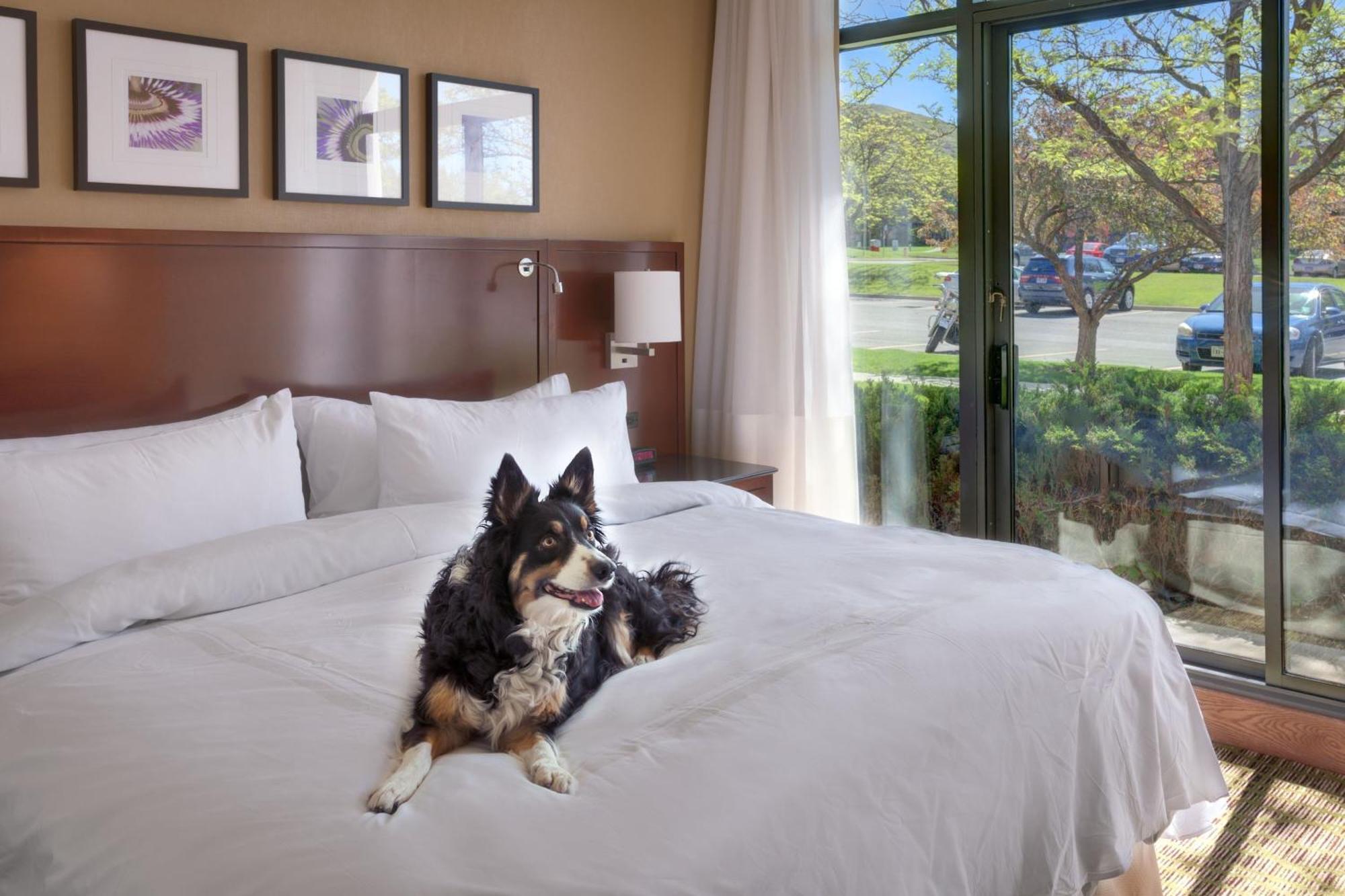 Salt Lake City Marriott University Park Extérieur photo